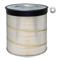 PA2839 &eacute;l&eacute;ment de filtre &agrave; air avec tirettes Equipex