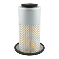 PA3833 &eacute;l&eacute;ment de filtre &agrave; air Equipex