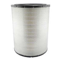RS3700 &eacute;l&eacute;ment filtrant externe pour l'air avec joint radial Equipex