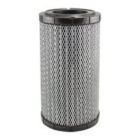 RS5761 Radial Seal Cab Air Element Equipex