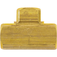 Raccord En T&eacute; Femelle, Laiton, 1/8" Equipex