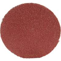 Roloc Disc 361F, 1-1/2" Dia., P100 Grit, Aluminum Oxide Equipex