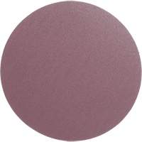 PSA Cloth Disc 348D, 12" Dia., 60 Grit, Aluminum Oxide, X-Weight Equipex