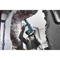 SDS-Max&reg; Rotary Hammer Equipex