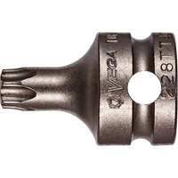 Embout &agrave; ins&eacute;rer, Torx inviolable, 25 x 1" lo, Prise 3/8" Equipex