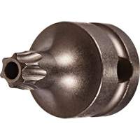 Embout &agrave; ins&eacute;rer, Torx inviolable, 25 x 1" lo, Prise 3/8" Equipex
