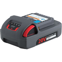 IQV20 Series Battery, Lithium-Ion, 20 V, 2.5 Ah Equipex