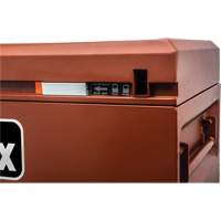 Armoire Site-Vault, 30" x 20" x 19-3/4", Acier, Orange Equipex