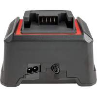 2.5 Ah & 5.0 Ah Battery Charger, 120 V, Lithium-Ion Equipex