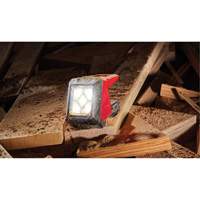 M12 Rover Mounting Flood Light, LED, 250 W, 1000 Lumens Equipex