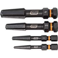 Jeu d'extracteur de vis Bolt Biter, Acier rapide, 4 Morceaux Equipex