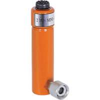 Hydraulic Rams, 3" Stroke, 2 Ton(s) Capacity Equipex