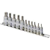 SS1438-11T Chrome Socket Bit Sets, Torx&reg;, 1/4"/3/8" Drive, 10 Pcs Equipex
