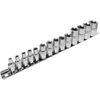 SS314TS  Standard External Socket Sets, Torx&reg;, 1/2"/1/4"/3/8" Drive, 14 Pcs Equipex