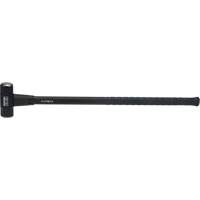 Masse, 6 lb, 36", Prise Fibre de verre Equipex