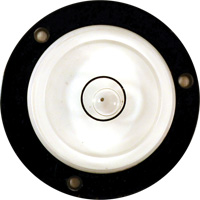 Niveau Bull's-Eye Equipex
