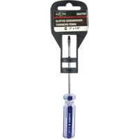 Tournevis &agrave; fente bleu transparent avec bandes , Tige de 1/8", Ronde, Prise en Plastique Equipex