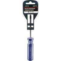 Tournevis Philips bleu transparent avec bandes, #1, Prise Plastique Equipex