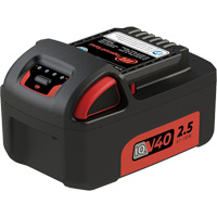 Battery, Lithium-Ion, 40 V Equipex