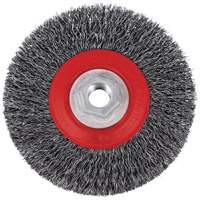 5C14T High Performance Crimped Wire Brush, 5" Dia., 0.014" Fill, 5/8"-11NC Arbor Equipex