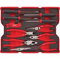 Pliers & Pick Set with Tray for PACKOUT Drawers Equipex