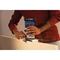 Brushless Colt Palm Router Equipex