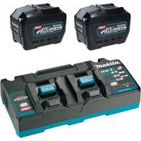 XGT Dual Port Rapid Charger Starter Kit with (2) 8 Ah Batteries, 40 V, Lithium-Ion Equipex