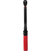 Torque Wrench, Click, 3/8" Square Drive, 20 - 100 in-lbs/27.1 - 135.6 N.m Equipex