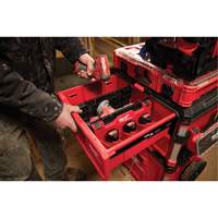 Diviseur pour boîtes &agrave; outils &agrave; tiroirs Packout Equipex