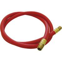 Tuyau de raccordement pour d&eacute;vidoir de tuyau, Air, Caoutchouc EDPM, 1/2" dia. x 5', 300 psi, 1/2 NPT Equipex