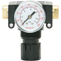 D&eacute;tendeur &agrave; piston en ac&eacute;tal MODULAIR 200, 1/4" NPT, PSI max. de 150 psi, Canalisation/Modulaire Equipex