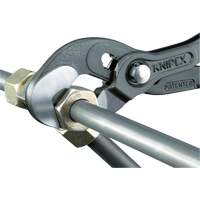 Pince Raptor, 10" Equipex