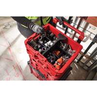 PACKOUT Low-Profile Crate, 15" x 18-5/8" x 6-5/8", Black/Red Equipex