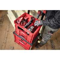 PACKOUT XL Crate, 15-3/4" x 18-5/8" x 15", Black/Red Equipex