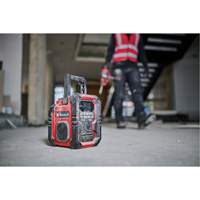 TE-CR 18 Li DAB+/FM/BT Cordless Radio (Tool Only), Lithium-Ion, 18 V Equipex