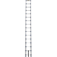 Telescopic Ladder, 3' - 15.5', Aluminum, 250 lbs. Capacity, Type 1 Equipex