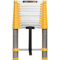 Telescopic Ladder, 3' - 12', Aluminum, 250 lbs. Capacity, Type 1 Equipex