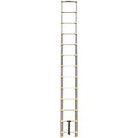 Telescopic Ladder, 3' - 12', Aluminum, 250 lbs. Capacity, Type 1 Equipex