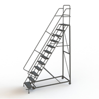 &eacute;chelles roulantes robustes, 12 marches, Largeur de la marche 24", Hauteur de la plateforme 120", Acier Equipex