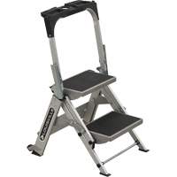 Tilt & Roll Step Stool Ladder, 2 Steps, 23" x 21" x 34.50" High Equipex
