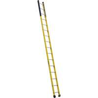 Single Manhole Ladder, 16', Fibreglass, 375 lbs., CSA Grade 1AA Equipex