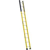 Single Manhole Ladder, 12', Fibreglass, 375 lbs., CSA Grade 1AA Equipex