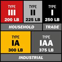 Escabeau avec plateau &agrave; peinture, 10', Aluminium, Capacit&eacute; 225 lb, Type 2 Equipex