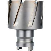 Fraise avec tenon &agrave; changement rapide Drive Hawg, Diam&egrave;tre de 2", Acier, Profondeur de la coupe de 1" Equipex