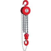 Chain Hoist, 8' Lift, 11023 lbs. (5 tons) Capacity Equipex