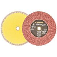QUICK-STEP FLEX, 5" x Type 29, 40 Grit, Aluminum Oxide Equipex
