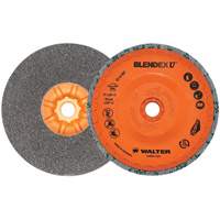 Blendex U Finishing Cup Disc, 5" Dia., Fine Grit, Silicon Carbide Equipex