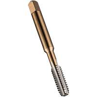 Taraud pour tuyau &agrave; usage g&eacute;n&eacute;ral, 10-1,25, 3 cannelures, 80 mm lo, Conique, Acier rapide Equipex