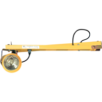 Lampes pour les quais, Bras 60", Ampoule Incandescente, M&eacute;tal Equipex