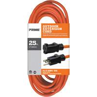 Vinyl Extension Cord, Outdoor, SJTW, 14/3 AWG, 15 A, 25' Equipex